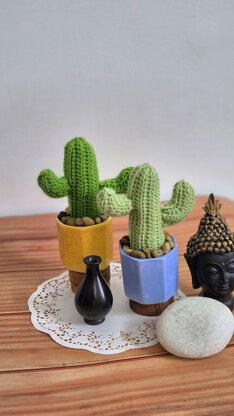 Desert cactus