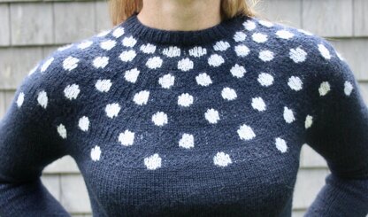 Polka Dot Crew Neck