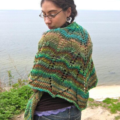 Cutting Ferns Shawl