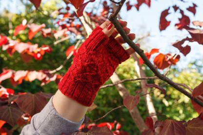 Rose Jam Mitts