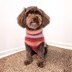 Easy-Peasy Pup Knit