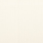 Antique White (101)