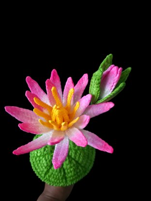 Crochet Water lily flowers pattern