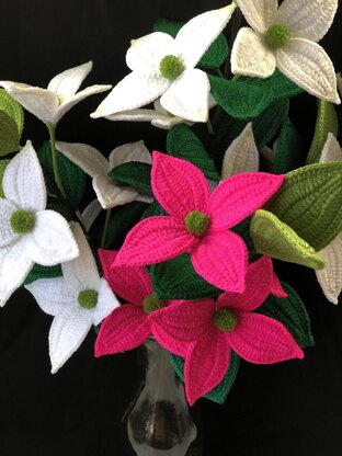 Chinese Dogwood Crochet Pattern