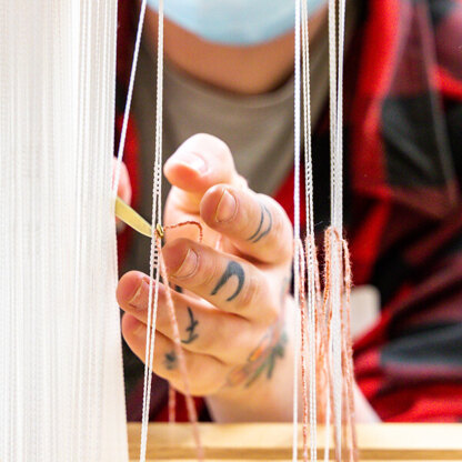 WEBS Next Steps in Project Planning for Weavers - V