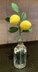 Lemon/Lime Sprig Crochet pattern - UK terms