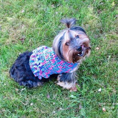 Ruffled Small Dog Sweater