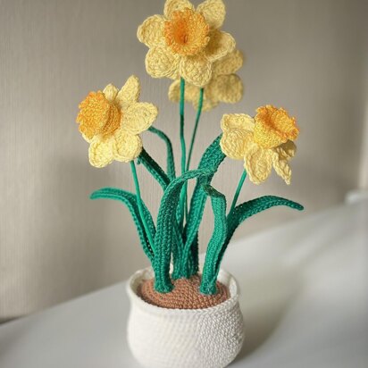 Daffodil flower with pot