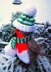 Cute Christmas Toys 4 - rabbit, gnome, stocking, cat, robin, hotwater bottle cover