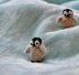Christmas Baby Penguin