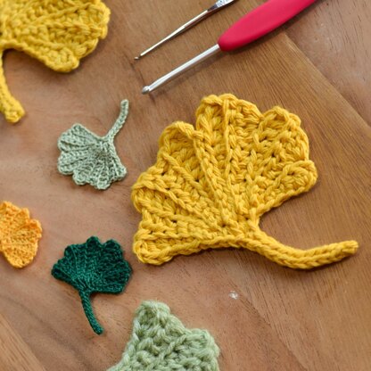 Fan Shaped Fun Ginkgo Leaf