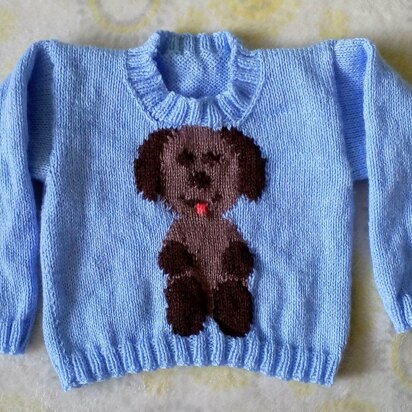 Puppy Jumper