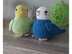 Crochet Pattern Budgie´s Jamie & Flocke!