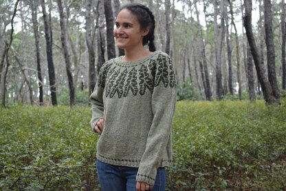 Alocasia Pullover