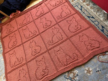 Cat Blanket