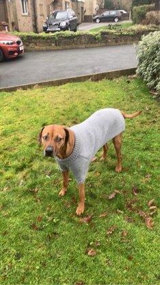 Big Comfy Dog Sweater