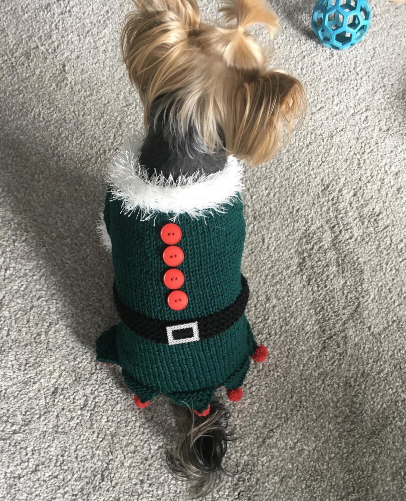 Santa's little outlet helper dog costume