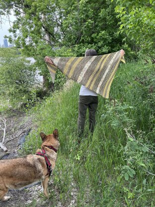 Strandlines Shawl