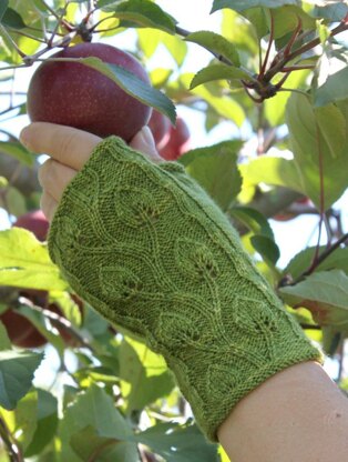 Garden of Eden Fingerless Gloves