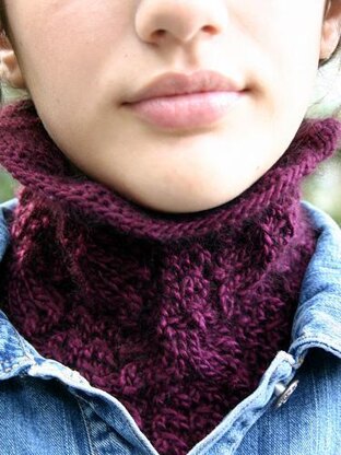 Lotier cowl