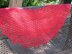 Seasons Of Life Shawl