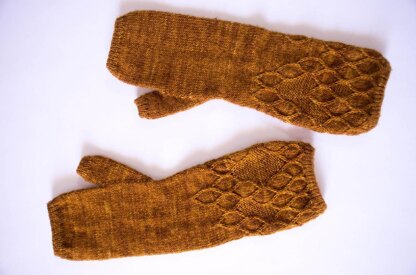 Apis Dorsata Mitts