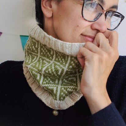 Echo Cowl