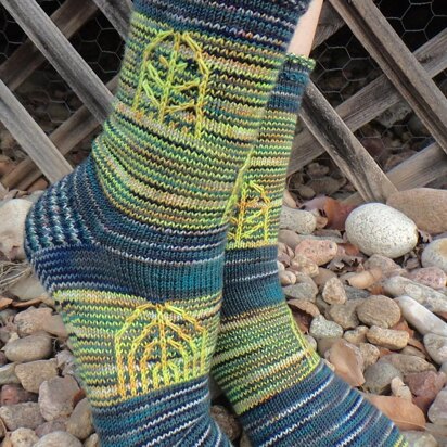 Enchanted Window Socks