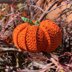 Halloween bag and Pumpkin