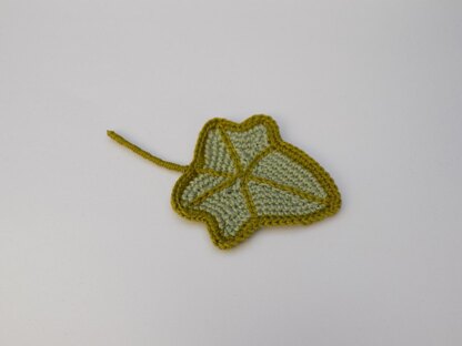 Little Ivy leaf