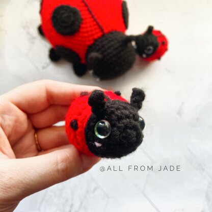 Baby Ladybug