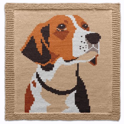 Hunting Dog Knitting Pattern Bundle, 4 Squares
