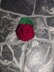 Blooming Rose Hair Clip