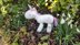 Knitted Unicorn