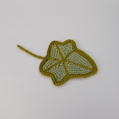 Little Ivy leaf