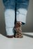Auseklis Socks