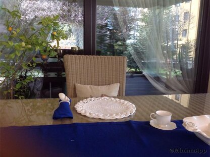 Crochet Placemat N 116