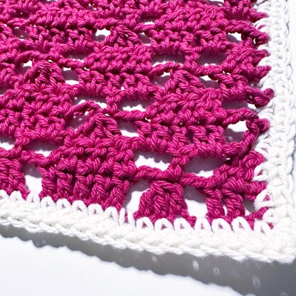 Christmas Washcloth