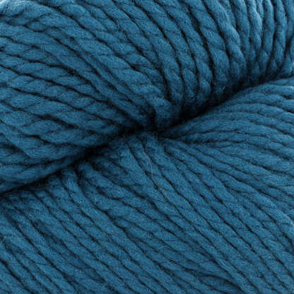 Blue Coral (3)