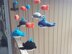 Whale Mobile