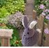 Peter Rabbit Doorstop