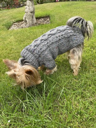 Slate Dog Sweater