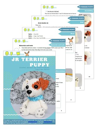 Dog Jack Russell Terrier