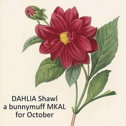 Dahlia