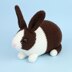 Dutch rabbit