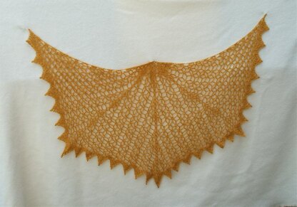 Starry Evening Shawl