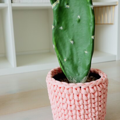 The Cactus Cozy