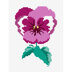 Pink Pansy in DMC - PAT0647 - Downloadable PDF