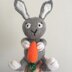 Bunny rabbit  plushie toy amigurumi