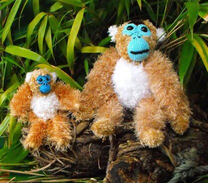 GILBERT AND BABY GEORGE THE GOLDEN MONKEYS